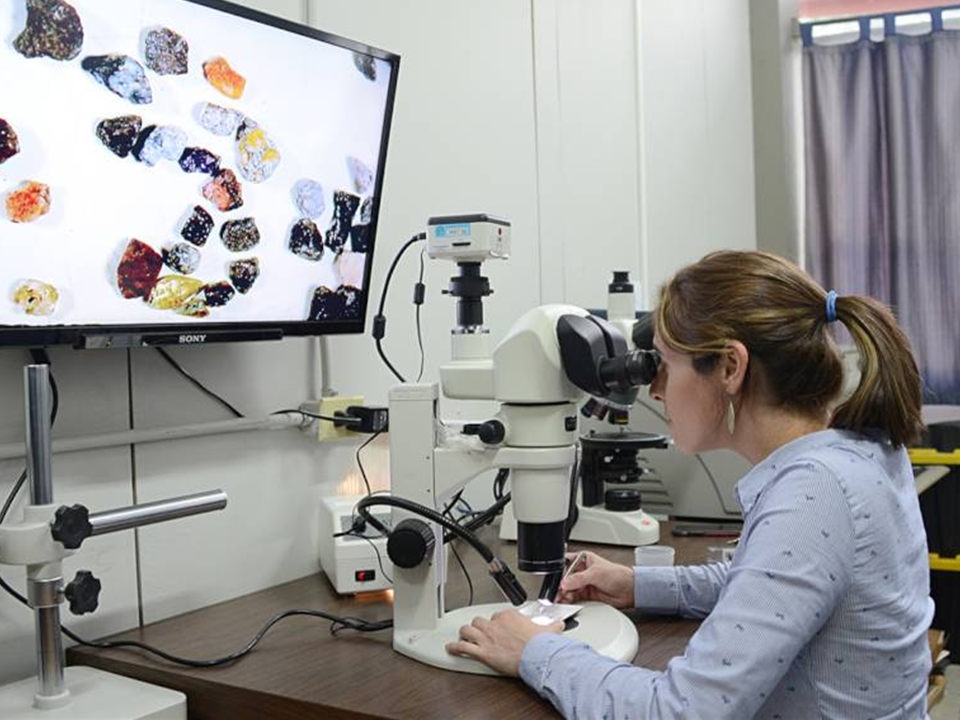 Crédito de la imagen: Laura Rodríguez / Universidad de Costa Rica.