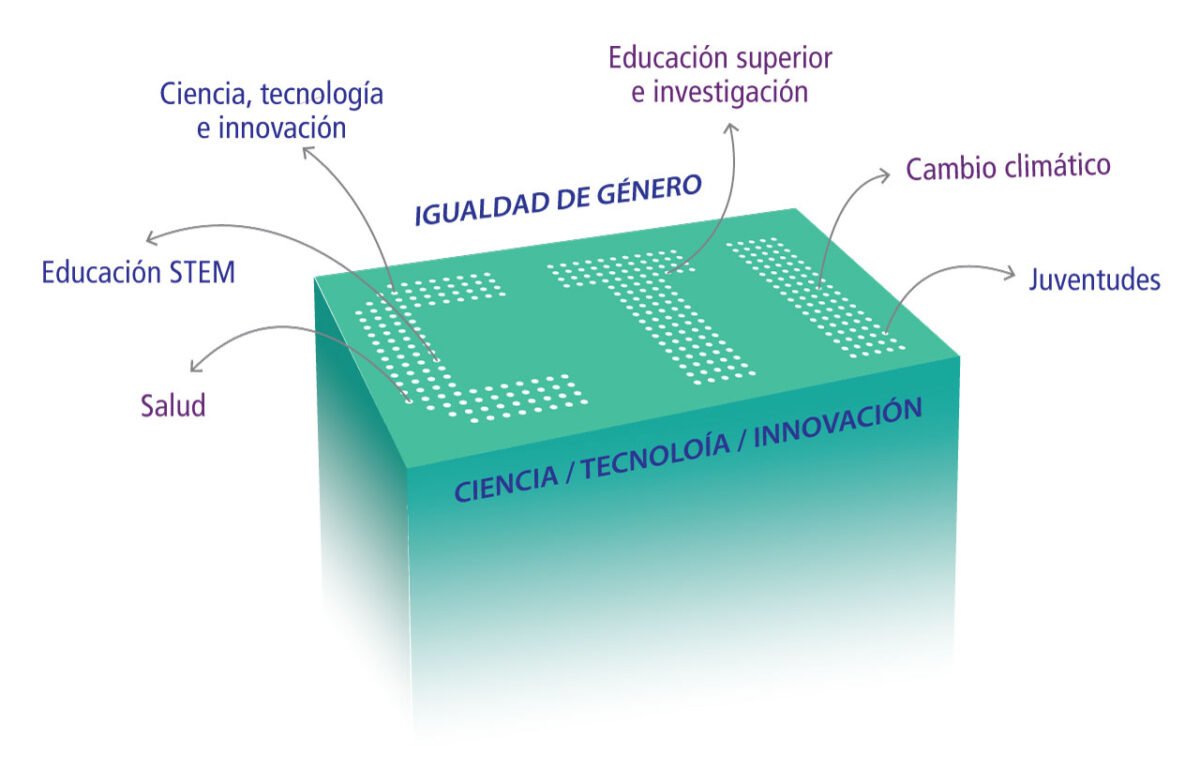 La Cátedra en acción